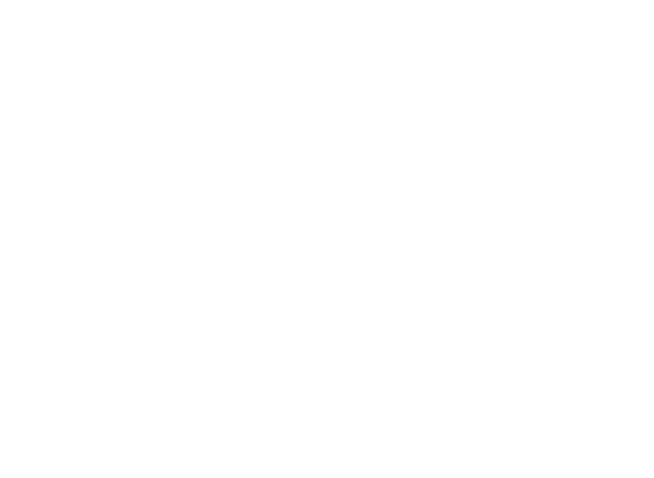 Magniti White Logo
