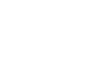 Magnito Png